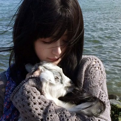 熊本记者 海报